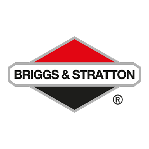 Briggs & Stratton
